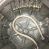 東芝 洗濯機 4.5kg AW-45M7(W) 2019年式
