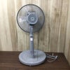 【新品】TEKNOS リビング扇風機 KI-1710 G