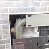 ダイキン エアコン 2.2kw S225ATES-W 2024年製