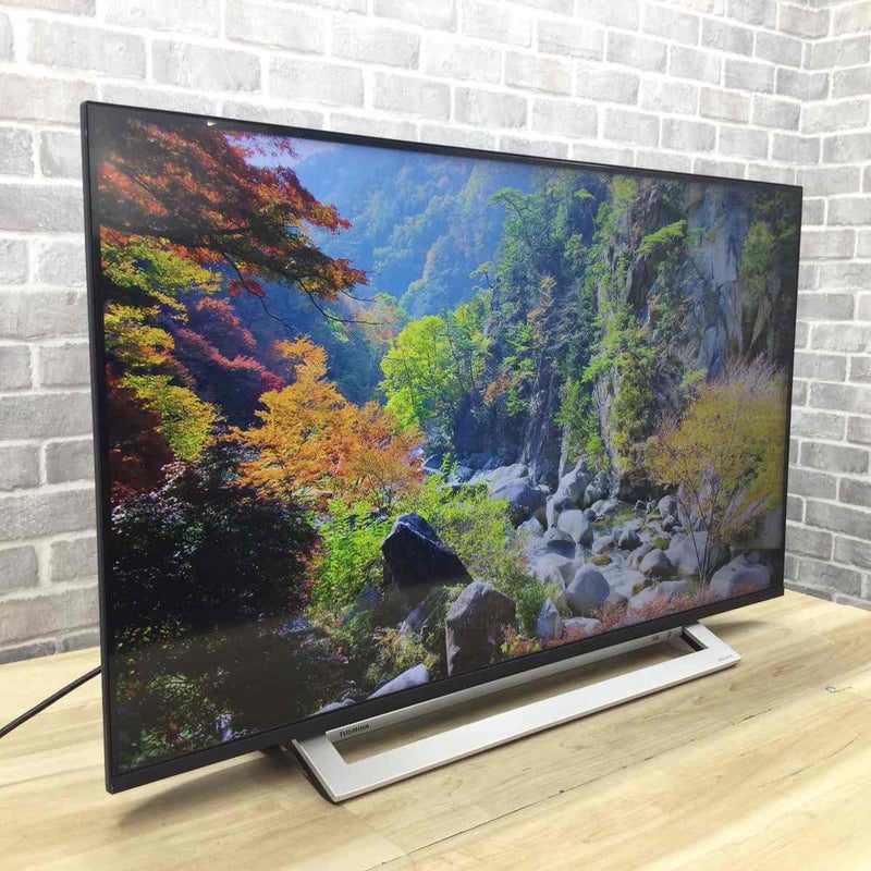東芝 REGZA 液晶テレビ 43インチ 【NET動画】 43M540X 2020年製 