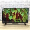 フナイ 液晶テレビ 32インチ fireTV内蔵 FL-32HF140 2023年製